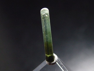 Tourmaline crystal bicolor 17 mm Gilgit, Pakistan