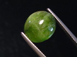 Tremolite cat's eye 5,94 Ct. cabochon Gairo, Tanzania