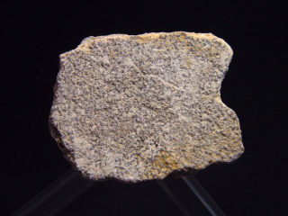 Saltasaurus Eischale 33 mm - 70 Mio. Jahre
