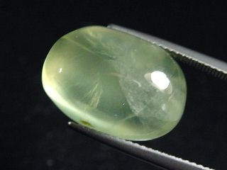 Prehnite 16,53 Ct. oval cabochon 18 x 13 mm Australia