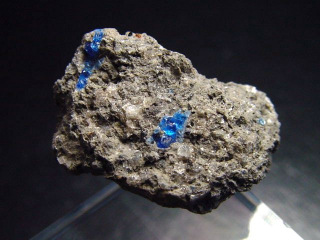 Preview: Hauyn / Hauynit Stufe 26 mm - Laacher See, Eifel, Deutschland