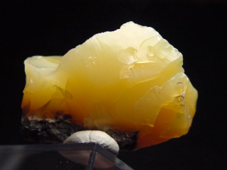 Feueropal gelb 37 mm - Zemplen, Ungarn