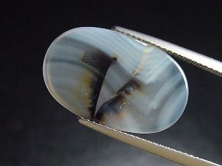 Landscape Agate 4,83 Ct. oval - Brazil