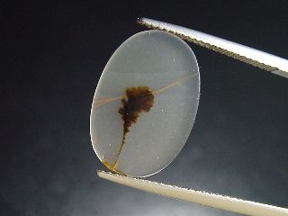 Landscape Agate 3,72 Ct. oval - Brazil