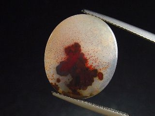 Landscape Agate 4,96 Ct. oval - Brazil