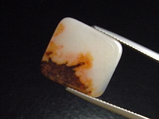 Landscape Agate 4,84 Ct. rectangular - Brazil