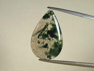 Moss Agate 11,05 Ct. pear cabochon Brazil