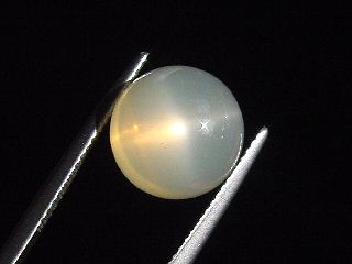 Sternmondstein / Stern Mondstein 8,61 Ct. feiner Stern Rund Cabochon