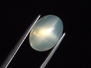 Sternmondstein / Stern Mondstein 7,89 Ct. feiner Stern Oval Cabochon