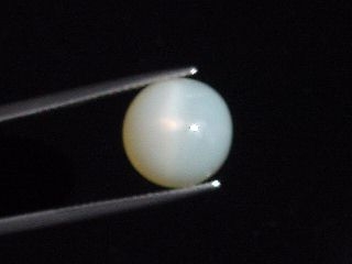 Sternmondstein / Stern Mondstein 9,26 Ct. heller Stern Rund Cabochon