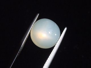 Sternmondstein / Stern Mondstein 7,07 Ct. heller Stern Rund Cabochon