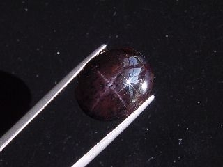 Star Garnet 19,41 Ct. four ray star cabochon India