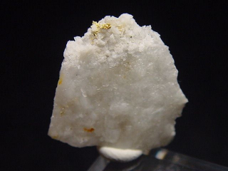 Gold kristallin in Quarz / Goldstufe 21 mm - Brusson, Val d'Aosta, Italien