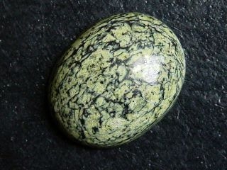 Nephrite Jade in Serpentinite 31,45 Ct. cabochon Canada