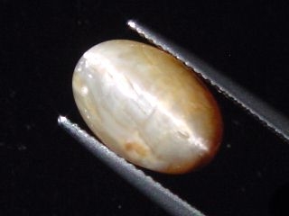 Opal cat's eye 6,45 Ct. oval cabochon Brazil
