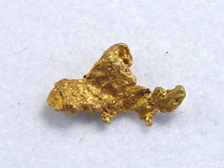 Gold nugget 7,5 mm - Köysivaara, Lappia, Finland