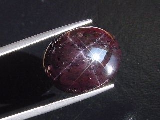 Sterngranat 26,53 Ct. 4-strahliger Stern Cabochon Indien