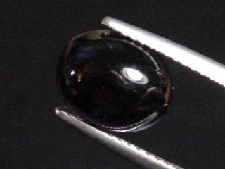 Iolit / Cordierit 3,20 Ct. Oval Cabochon 10 x 8 mm Sri Lanka
