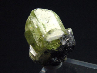 Diopsid Kristall 18 mm - Merelani, Tansania