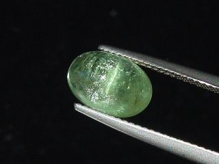 Verdelite Tourmaline cat's eye 3,45 Ct. oval cabochon Brazil