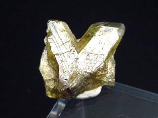 Chrysoberyl crystal 19 mm - Madag.