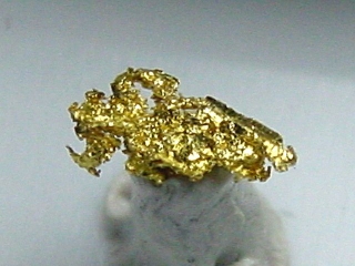 Gold crystalline 6 mm Brusson Val d'Aosta, Italy