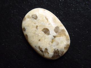 Serpentinite 29,94 Ct. oval cabochon India