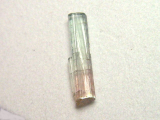 Tourmaline crystal 15,5 mm bicolor