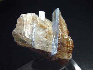 Kyanit / Disthen Stufe 38 mm - Minas Gerais, Brasilien