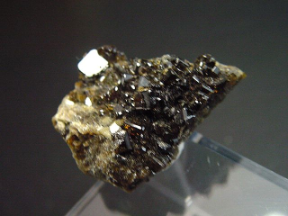 Vesuvianit Stufe 31 mm - Bellecombe, Val d'Aosta, Italien