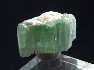 Turmalin Kristall zweifarbig 13 mm blau und grün - Minas Gerais, Brasilien