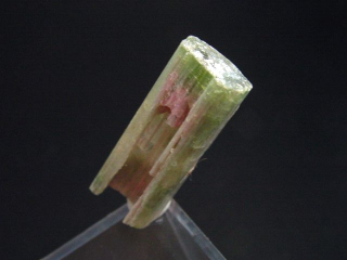 Wassermelonenturmalin Kristall 27 mm - Minas Gerais, Brasilien