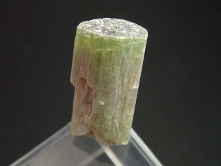 Wassermelonenturmalin Kristall 22 mm - Minas Gerais, Brasilien