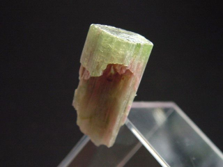 Wassermelonenturmalin Kristall 29 mm - Minas Gerais, Brasilien