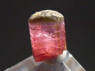 Turmalin Kristall zweifarbig 7 mm rot und grün - Minas Gerais, Brasilien