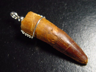 Spinosaurus tooth pendant 925 silver - 5,4 cm - Spinosaur Dinosaur