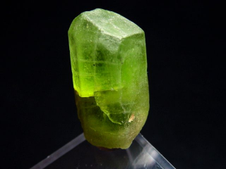 Peridot Kristall 26 mm intensive Farbe Schleifqualität