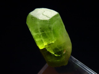 Peridot Kristall 26 mm intensive Farbe Schleifqualität