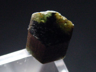 Trapiche Turmalin - sehr selten - 9 mm Kristallscheibe