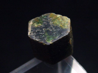 Trapiche Turmalin - sehr selten - 9 mm Kristallscheibe
