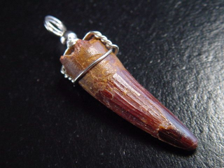 Spinosaurus Zahn Anhänger 925 Silber - 4,7 cm - Spinosaurier Dinosaurier