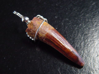 Preview: Spinosaurus Zahn Anhänger 925 Silber - 4,7 cm - Spinosaurier Dinosaurier