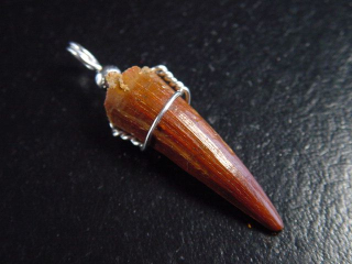 Spinosaurus Zahn Anhänger 925 Silber - 4,2 cm - Spinosaurier Dinosaurier