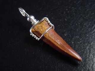 Spinosaurus Zahn Anhänger 925 Silber - 4,2 cm - Spinosaurier Dinosaurier