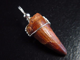 Preview: Spinosaurus Zahn Anhänger 925 Silber - 4,1 cm - Spinosaurier Dinosaurier