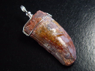 Preview: Carcharodontosaurus Zahn Anhänger 925 Silber - 5,7 cm - Carcharodontosaurier Dinosaurier