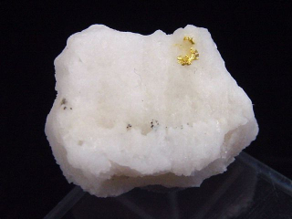 Gold kristallin in Quarz 25 mm Brusson, Val d'Aosta, Italien