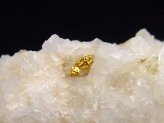 Gold kristallin in Quarz 26 mm Brusson, Val d'Aosta, Italien