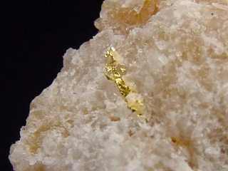 Gold kristallin in Quarz 25 mm Brusson, Val d'Aosta, Italien