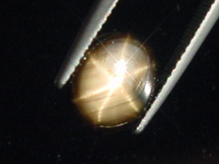 Sternsaphir 2,37 Ct. schwarz golden 10 x 9 mm Oval Cabochon